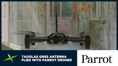 Parrot_featured-image02-400x225