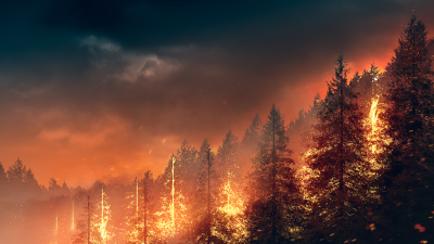 pano_ai_hero-400x225