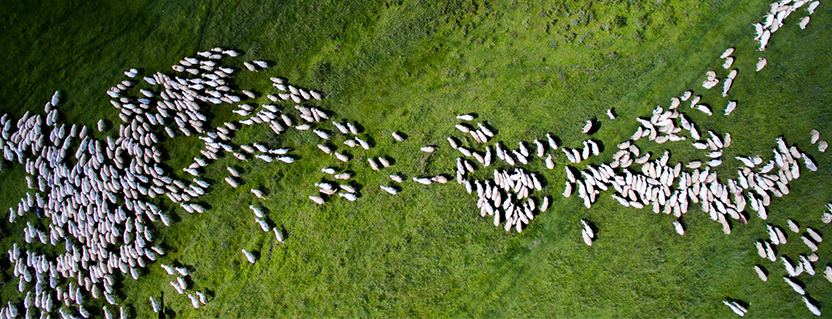 Cloud-based positioning meets LoRaWAN