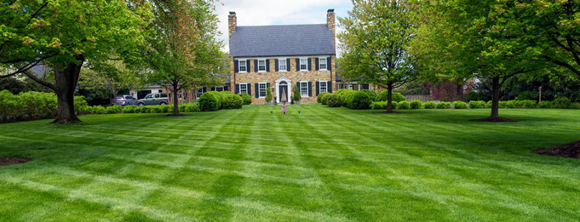 u-blox secures significant project wins in the robotic lawnmower market with its high-precision positioning technology