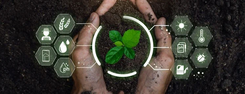 Nordic Semiconductor joins IoT4Ag to support development of smart agriculture