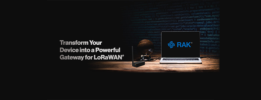 Rapid Prototyping and Deployment: WisGate Developer Base for IoT Applications