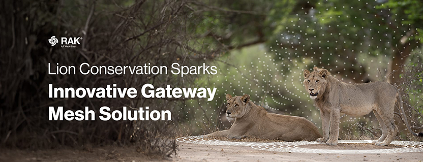 How a Lion Protection Project in Botswana Inspired the Gateway Mesh Solution