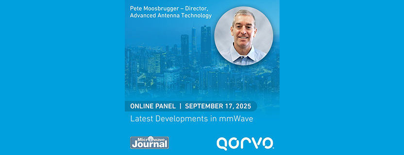 Online Panel: mmWave