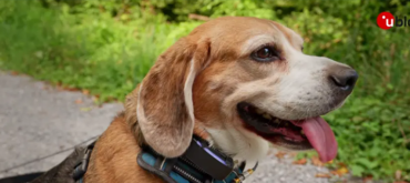 Improved position accuracy and power consumption with MAX-M10N and AssistNow