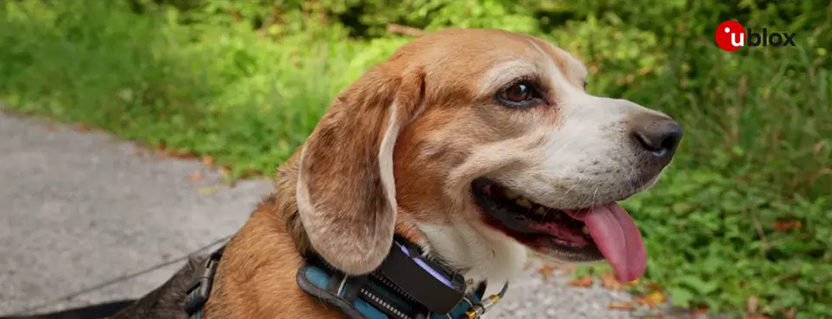 Improved position accuracy and power consumption with MAX-M10N and AssistNow