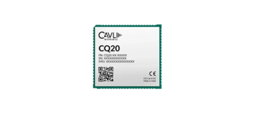 Cavli Wireless CQ20